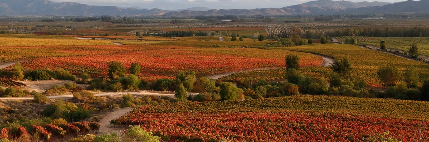 foto-valle-del-colchagua.jpg